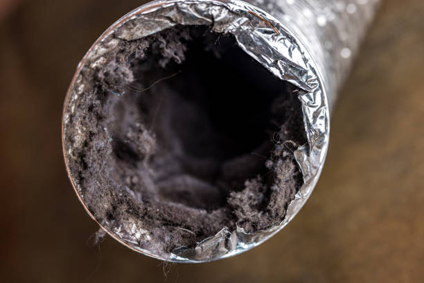 Best Duct Cleaning Specialists  in Naco, AZ