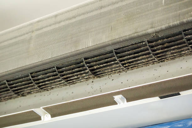 Best Professional Duct Cleaning Services  in Naco, AZ
